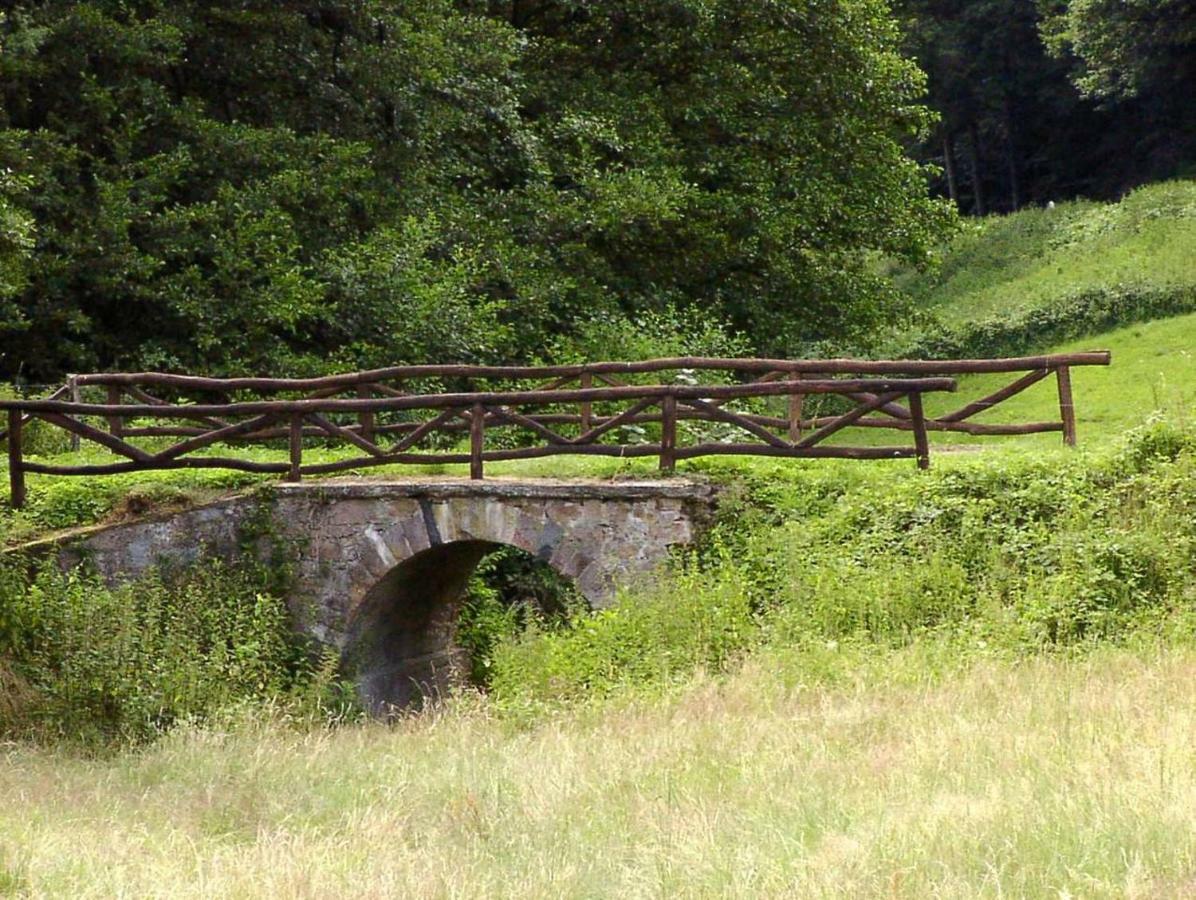 Schoenblick - Gemuetlich Uebernachten! Ober-Hambach Dış mekan fotoğraf